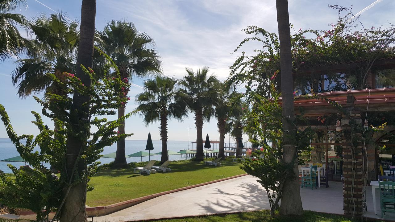 בלדיבי Seagull Hotel מראה חיצוני תמונה